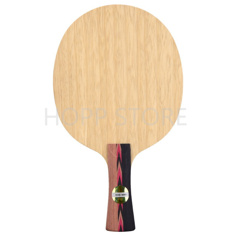 DHS ical5 ical5X POWER-G 5 af  - Stiga Carbon Blade avis et prix