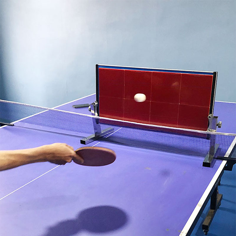 Table de tennis de table à dom - Table Tennis Eleven avis et prix