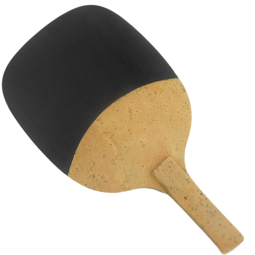 PALIO 8603 carbone titane lame - Stiga Carbon Blade avis et prix